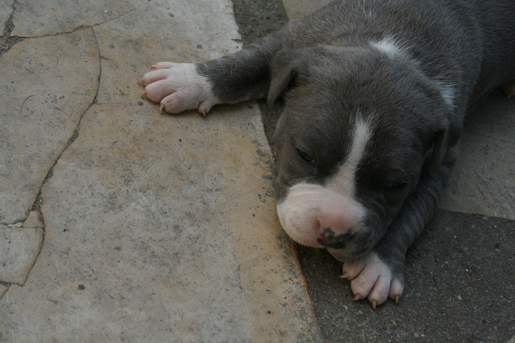 male3